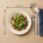 Sand Tone Dinner Plate